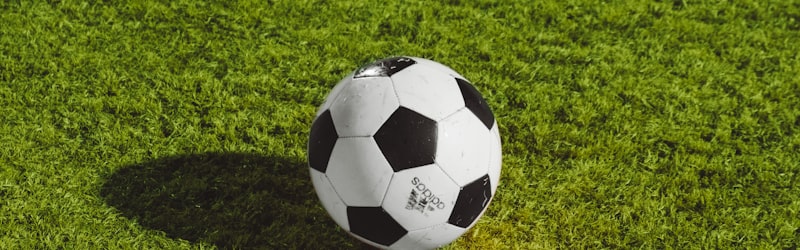 世界杯比赛现场观众欢呼庆祝进球的壮观场面